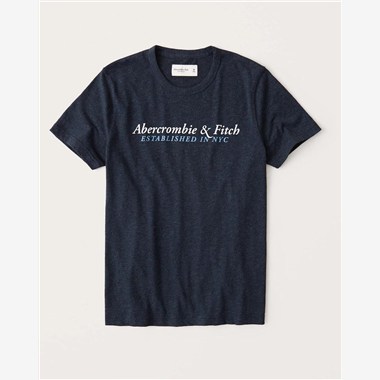 ABERCROMBIE & FITCH HCO 2022男生短袖T恤