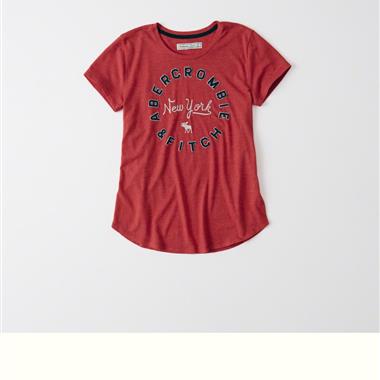 ABERCROMBIE & FITCH HCO  2023夏季新款女生短袖T恤