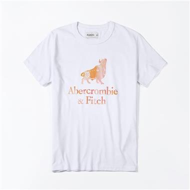 ABERCROMBIE & FITCH HCO 2023男生短袖T恤