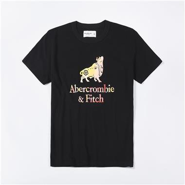 ABERCROMBIE & FITCH HCO 2023男生短袖T恤