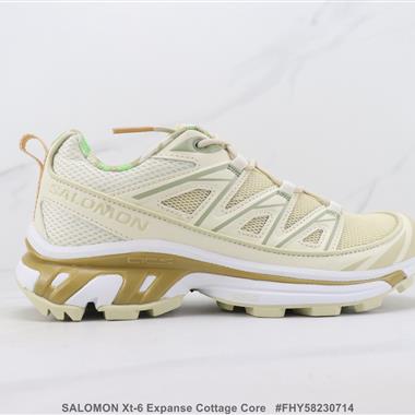 SALOMON Xt-6 Expanse Cottage Core 