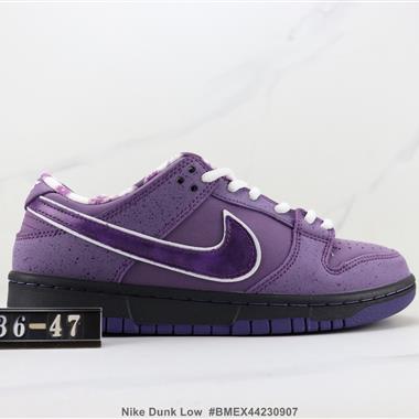 Nike Dunk Low Sb低幫板鞋 