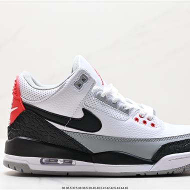 Nike  Air Jordan 3 Retro ”Hide and Sneak“