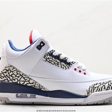 Nike  Air Jordan 3 Retro ”Hide and Sneak“