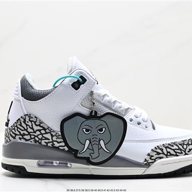 Nike  Air Jordan 3 Retro ”Hide and Sneak“ 