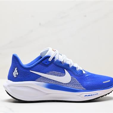 Nike Air Zoom Pegasus 41