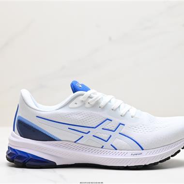 Asics GT-1000 12 GTX 