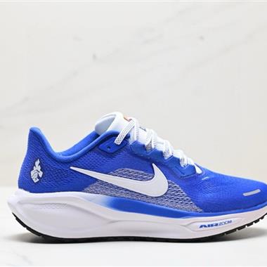 Nike Air Zoom Pegasus 41 