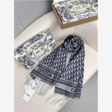 DIOR  2025秋冬新款時尚圍巾 尺寸：190-40