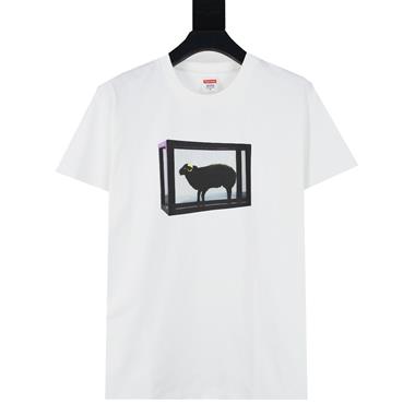 Supreme   2026夏季新款短袖T恤  尺寸偏大