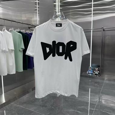 DIOR   2026夏季新款短袖T恤