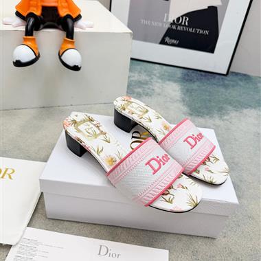 DIOR  2026新款女生休閒時尚鞋子